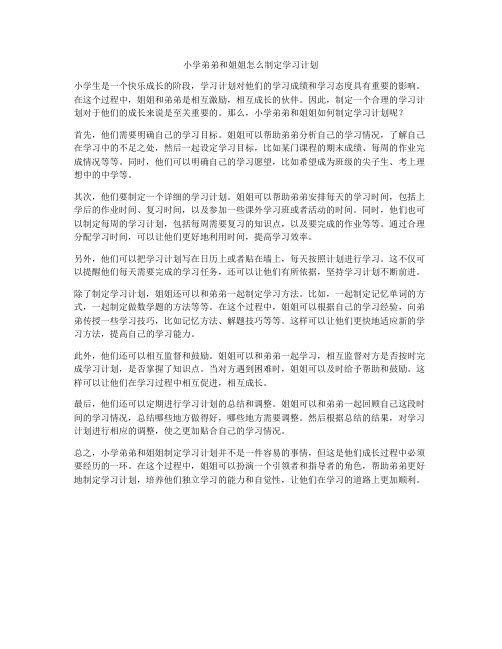 小学弟弟和姐姐怎么制定学习计划