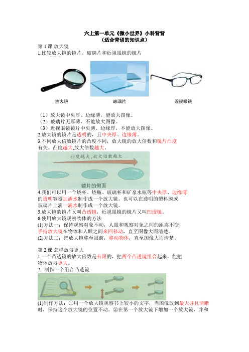 2022秋季教科版2017版新版六年级上册科学全册期末复习 知识总结 背诵归纳