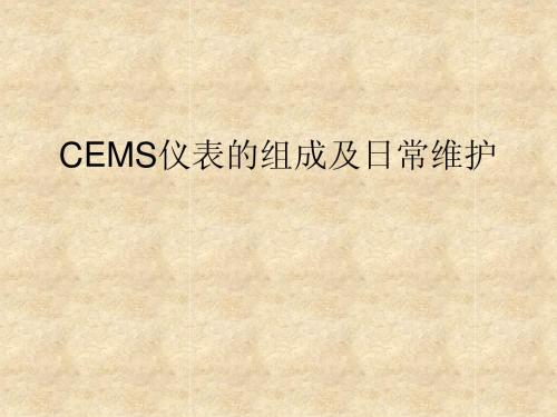 CEMS培训