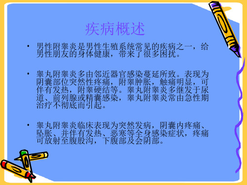 【正式版】附睾炎的治疗与护PPT文档