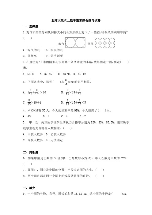 北师大版六年级数学上册期末试卷 (10)