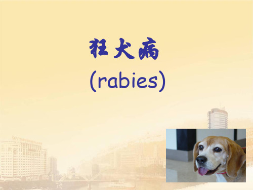 传染病学：狂犬病