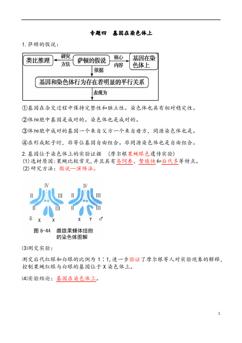 高中生物人教版必修二《基因在染色体上》知识点总结归纳