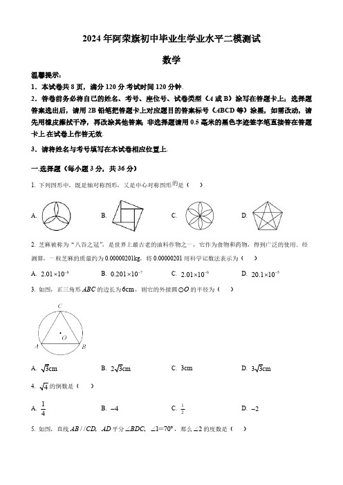 2024年内蒙古呼伦贝尔市阿荣旗九年级下学期中考二模数学试题(学生版)