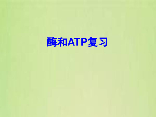 高考生物一轮复习课件——酶和ATP(精简版)