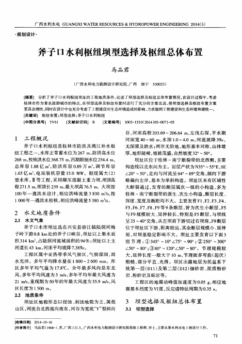 斧子口水利枢纽坝型选择及枢纽总体布置