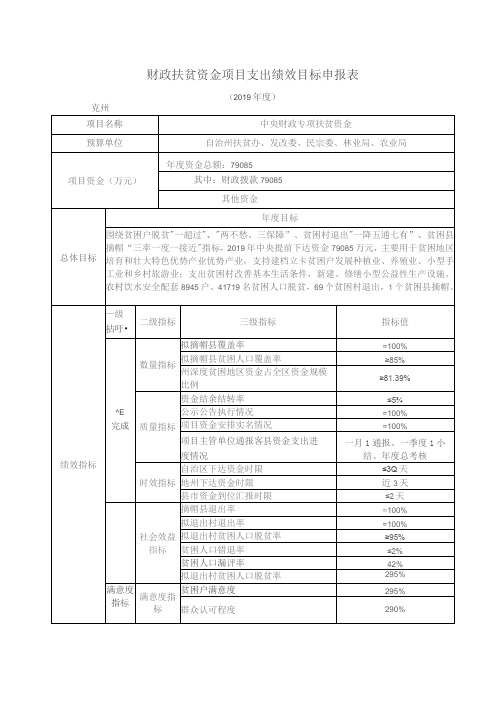 财政扶贫资金项目支出绩效目标申报表