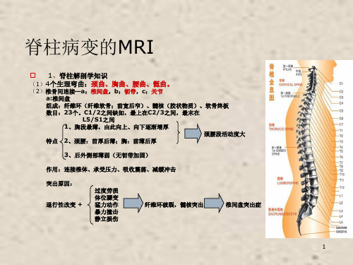 脊柱医学PPT课件