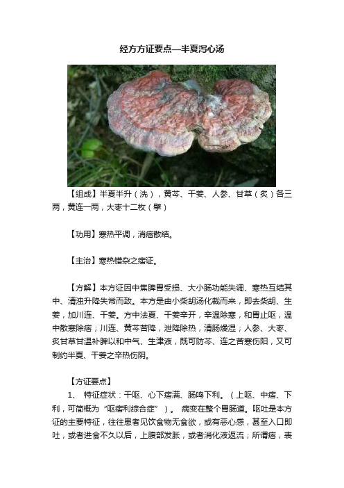 经方方证要点—半夏泻心汤