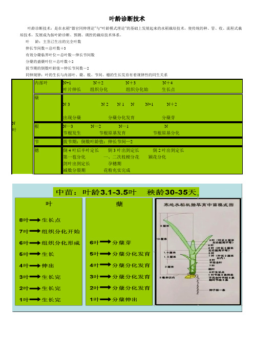 叶龄诊断技术1