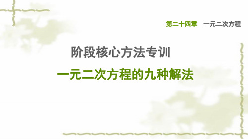 九年级数学上册第24章一元一次方程阶段核心方法专训一元二次方程的九种解法习题