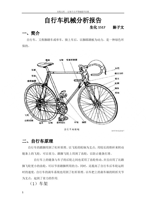 自行车分析报告