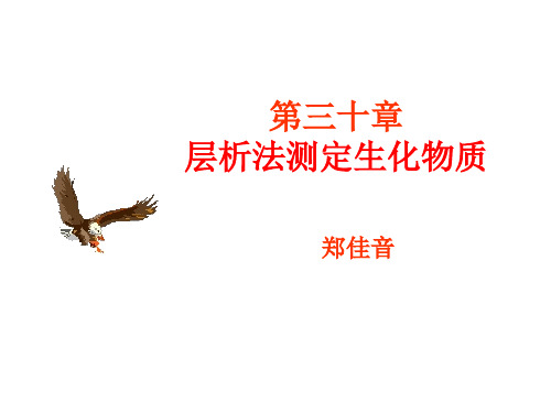 第30章 层析法测定生化物质-2015