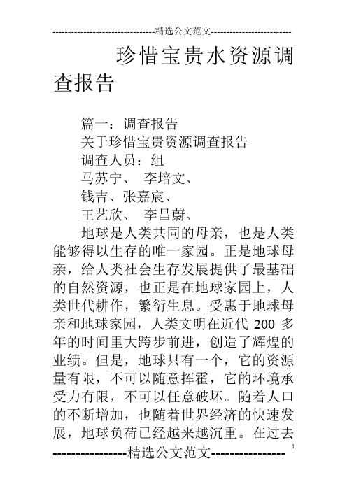 珍惜宝贵水资源调查报告