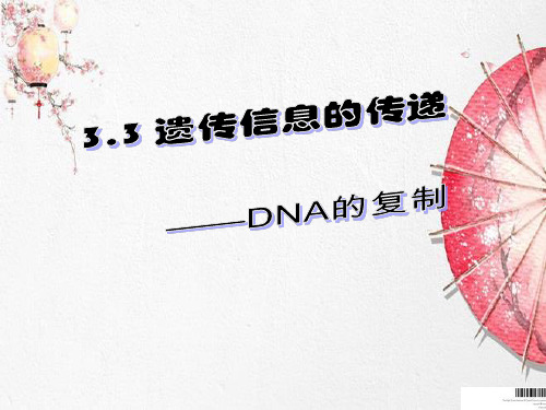 新版福建省厦门双十中学人教版高中生物2020 DNA复制 (共13张PPT)学习演示PPT课件