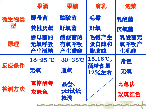 高中生物选修一专题一 传统发酵技术的应用 复习(共21张PPT)