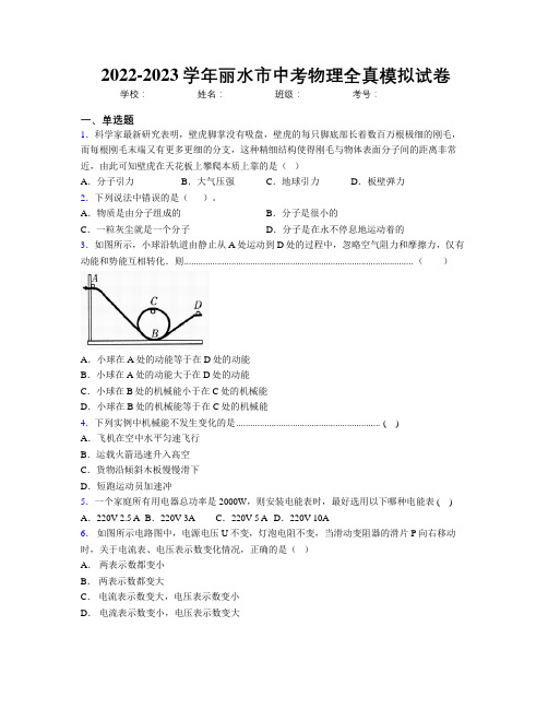 2022-2023学年丽水市中考物理全真模拟试卷