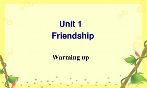 人教新课标必修1 Unit 1 Friendship  Warming up 公开课课件