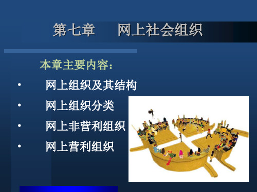 《网络社会学》-第7章 网络社会组织