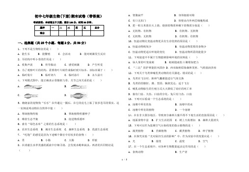 初中七年级生物(下册)期末试卷(带答案)