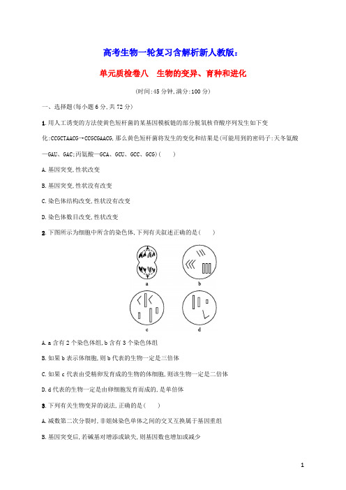 2023年高考生物一轮复习单元质检卷八生物的变异育种和进化含解析新人教版