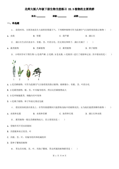 北师大版八年级下册生物当堂练习 22.3植物的主要类群