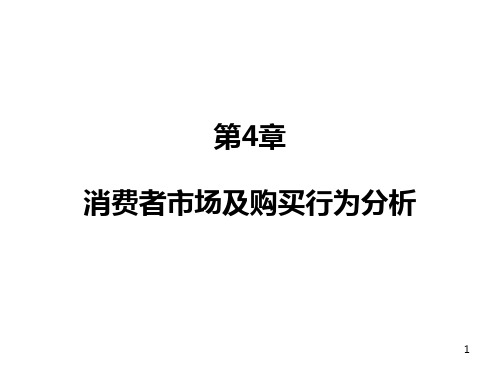 市场营销消费者购买行为分析PPT课件