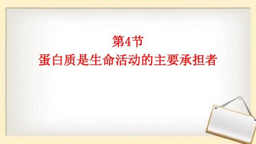 人教版高中生物必修一蛋白质是生命活动的主要承担者