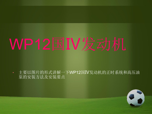 潍柴WP12国Ⅳ发动机正时系统详解-文档资料