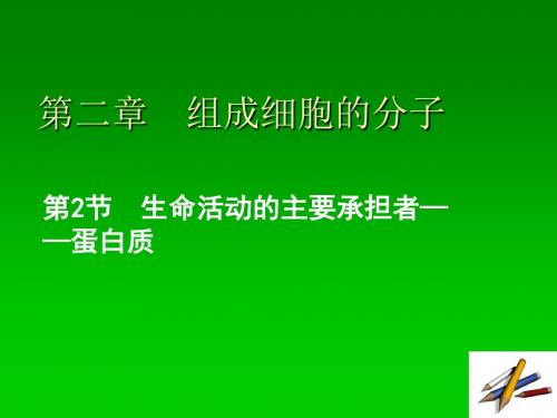 高中生物必修一2.2生命活动的主要承担者--蛋白质优质课课件