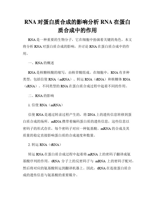 RNA对蛋白质合成的影响分析RNA在蛋白质合成中的作用