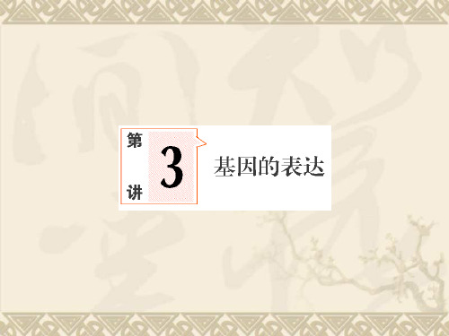 高考生物一轮复习 3-3 基因的表达课件 新人教版必修2