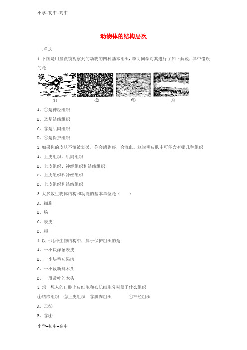 教育最新K12七年级生物上册2.2.2动物体的结构层次练习题无答案新版新人教版