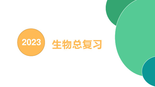 精讲06 生物圈中的微生物-2023年中考生物总复习核心知识精讲课件