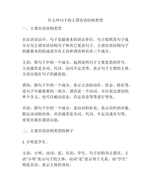 什么叫句子的主谓宾语结构类型