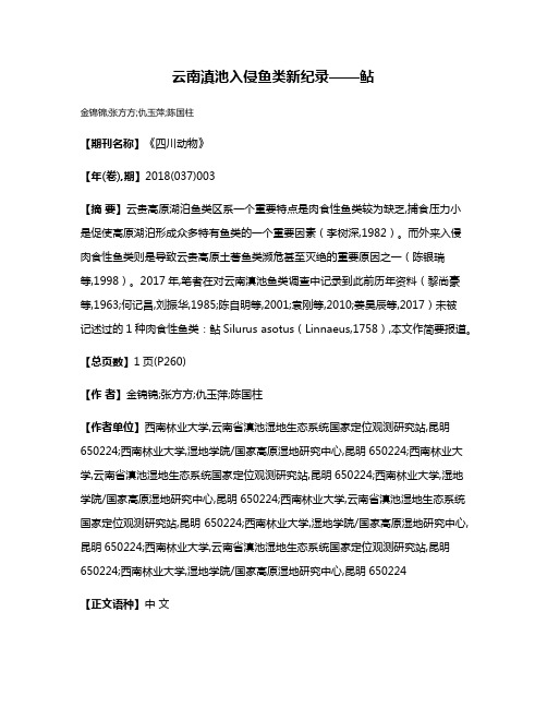 云南滇池入侵鱼类新纪录——鲇