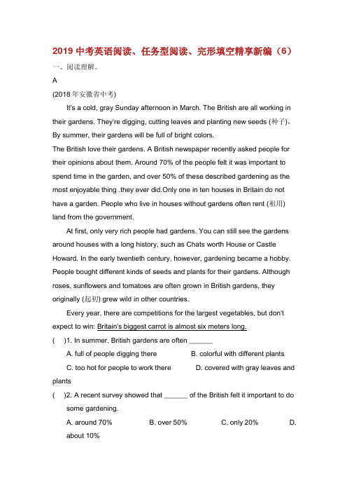 2019中考英语二轮复习 阅读、任务型阅读、完形填空精享新编(6).doc