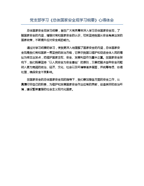 党支部学习《总体国家安全观学习纲要》心得体会