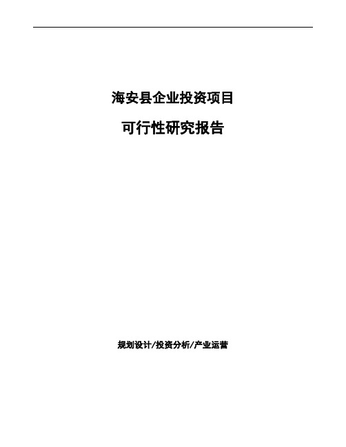 海安县项目可行性研究报告