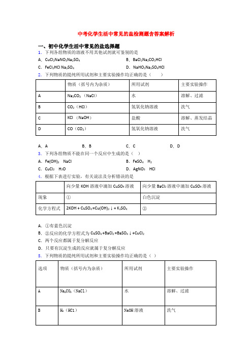 中考化学生活中常见的盐检测题含答案解析