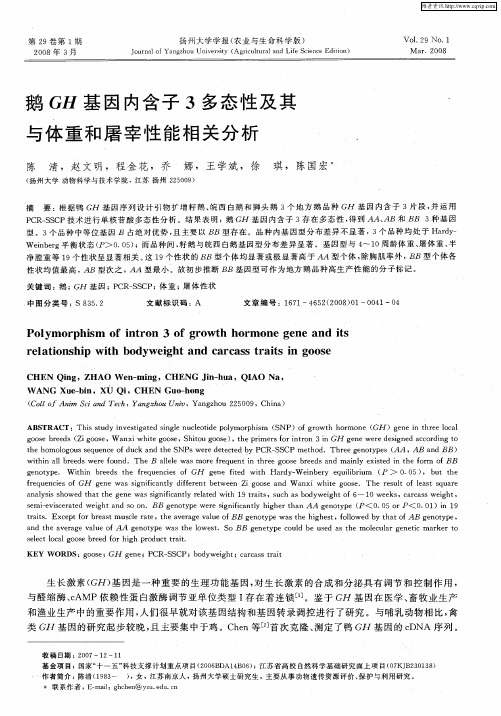 鹅GH基因内含子3多态性及其与体重和屠宰性能相关分析