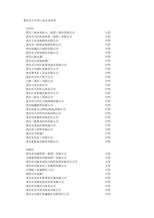 重庆市大中型工业企业名单