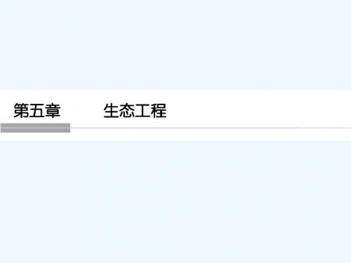 创新设计-学业水平考试2016-2017高中生物(浙江专用浙科版)选修三 课件 第五章 生态工程5-8