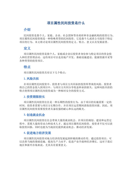 项目属性民间投资是什么