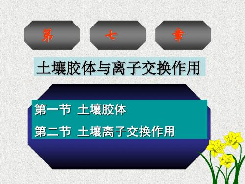 土壤胶体与离子交换作用-PPT文档资料