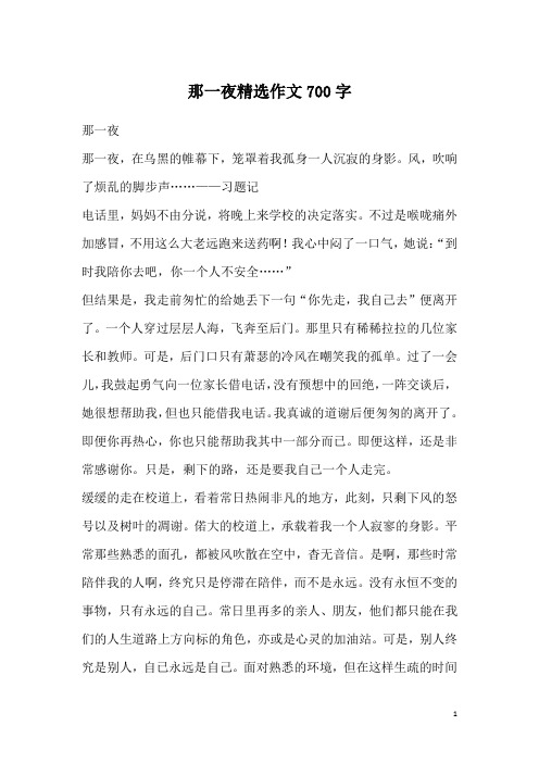 那一夜精选作文700字