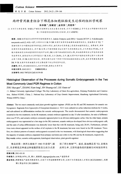 两种常用激素组合下棉花体细胞胚胎发生过程的组织学观察