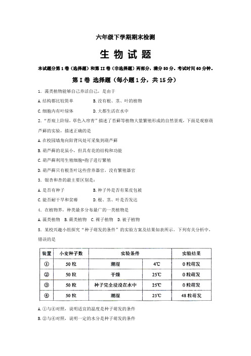 山东泰安新泰市(五四制)2020-2021学年六年级下学期期末考试生物试题(word版含答案)