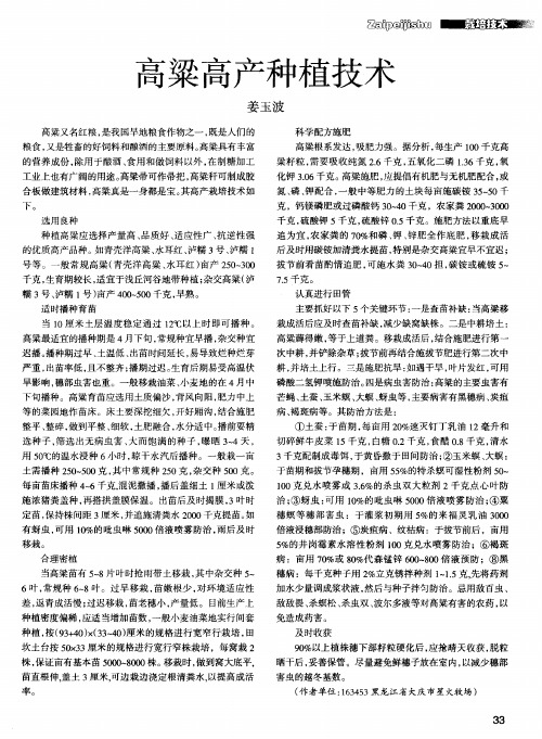 高粱高产种植技术