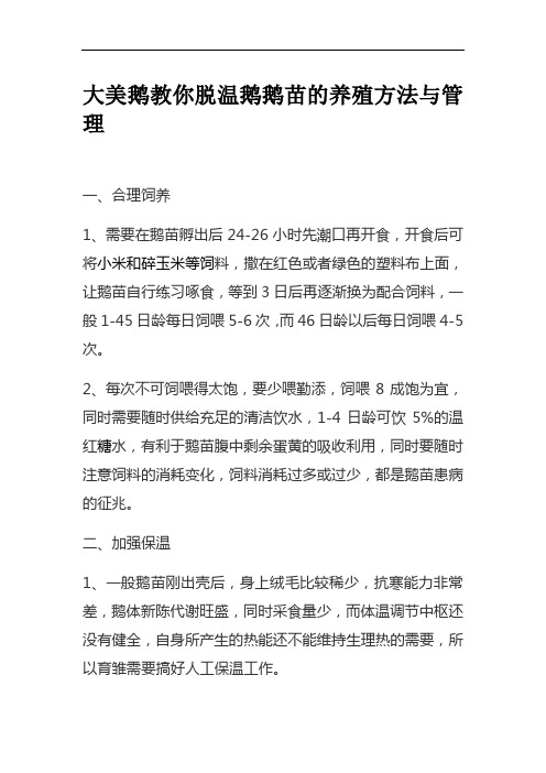 大美鹅教你脱温鹅鹅苗的养殖方法与管理